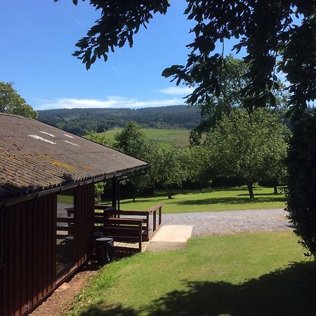 Laburnum Lodge Sleeps 6 Wheelchair Access Minehead Exterior photo